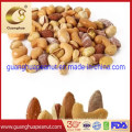 Vietnamese Roasted and Salted Cashew Nuts Wholesale 500g